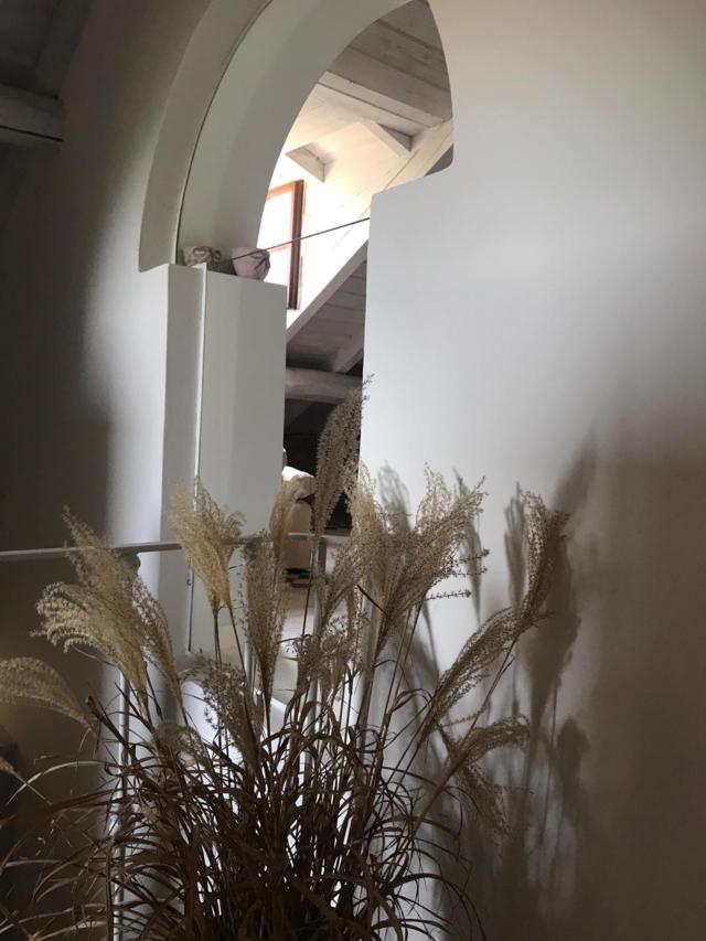 IMG-20200528-WA0004 (FILEminimizer)